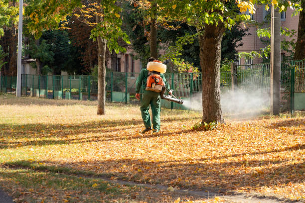 Pest Control Cost in Lucasville, OH